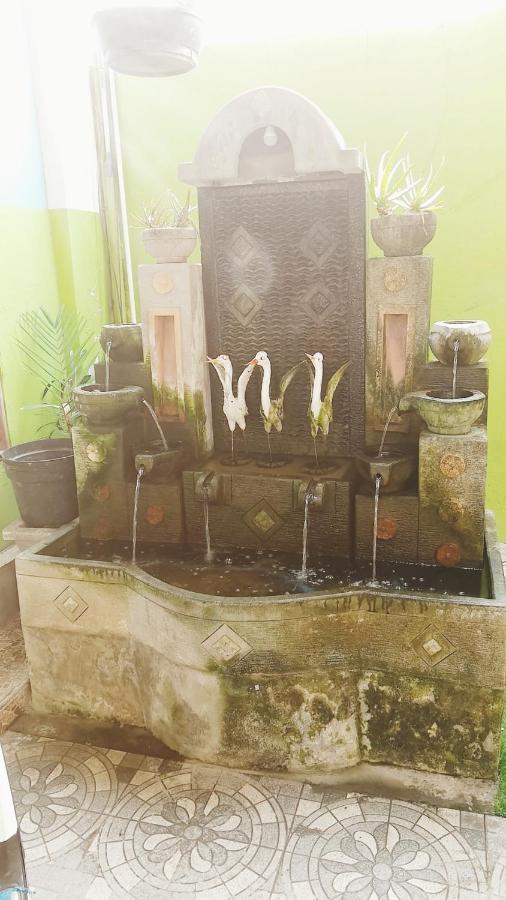 Bali Dd Homestay Seminyak エクステリア 写真