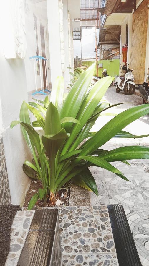 Bali Dd Homestay Seminyak エクステリア 写真